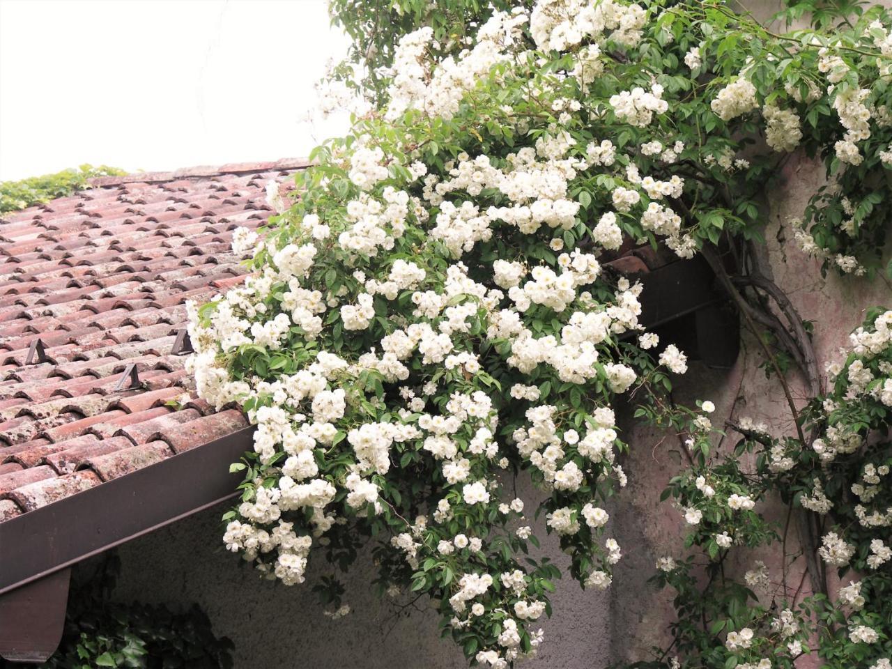 La Traversina Stazzano Exterior photo